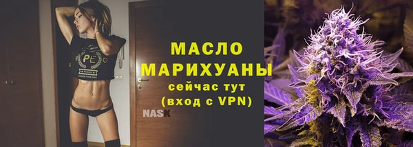 МДПВ Бородино