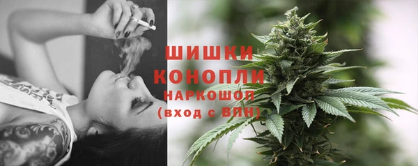 МДПВ Бородино