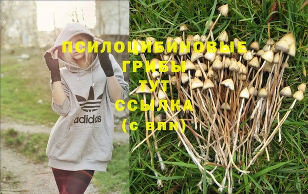 мяу мяу мука Бугульма
