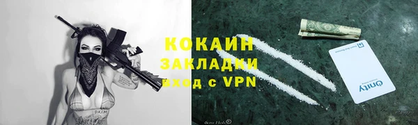 МДПВ Бородино