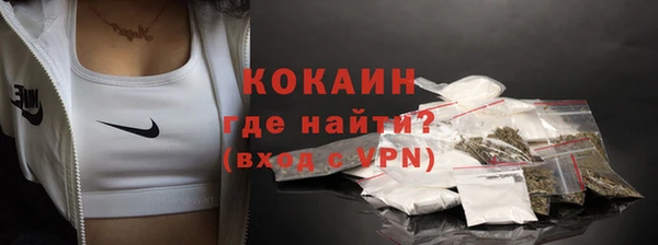 МДПВ Бородино