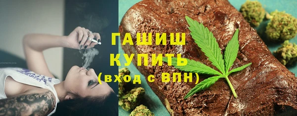 МДПВ Бородино