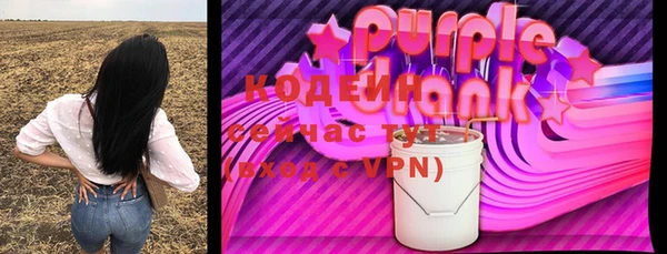 МДПВ Бородино