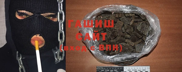 МДПВ Бородино