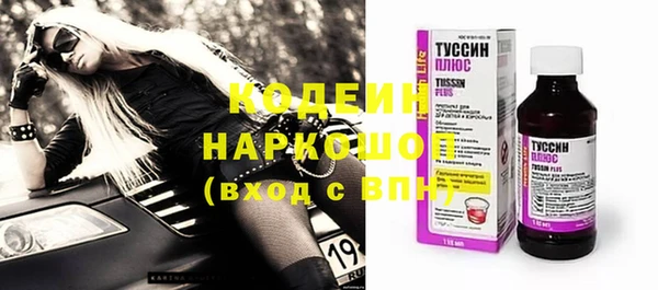 МДПВ Бородино